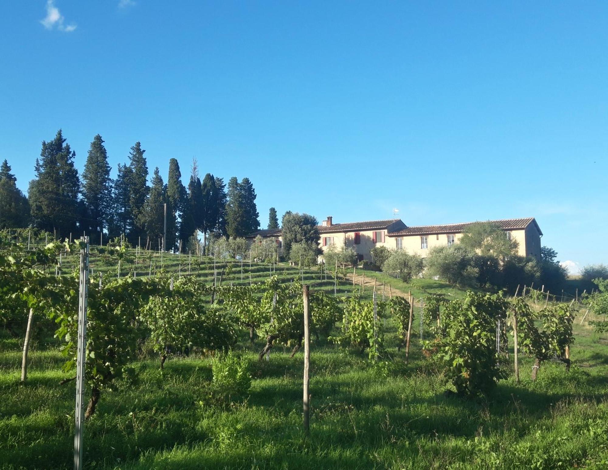Agriturismo Fattoria Le Caprine Gambassi Terme Exterior photo